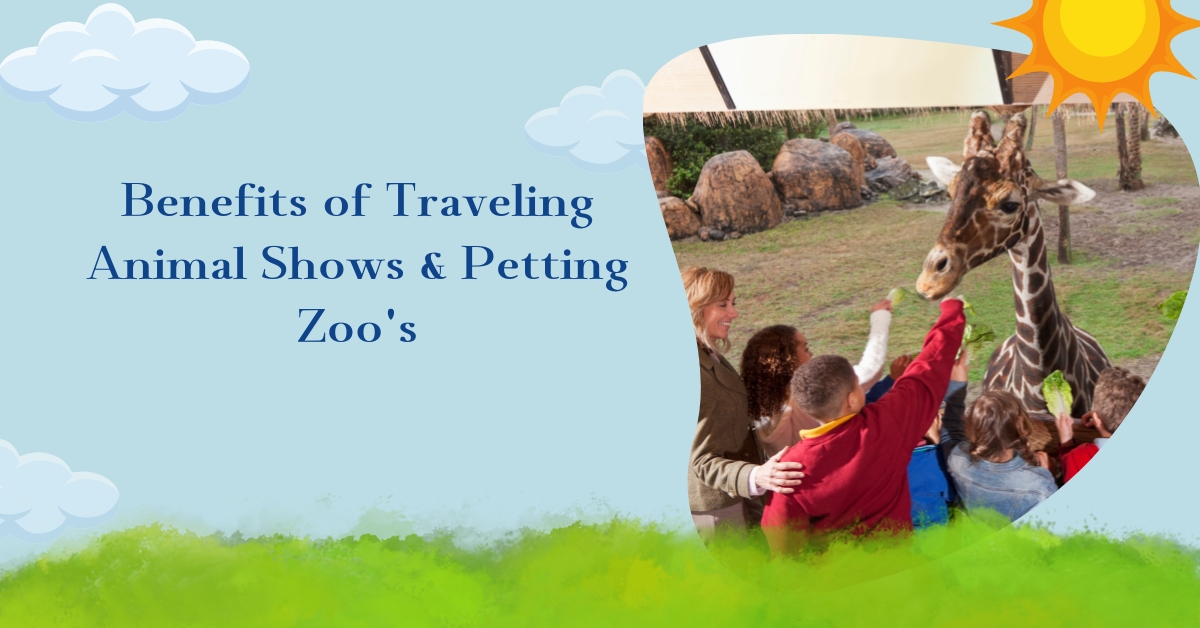 Benefits of Traveling Animal Shows & Petting Zoo's Austin Petting Zoo