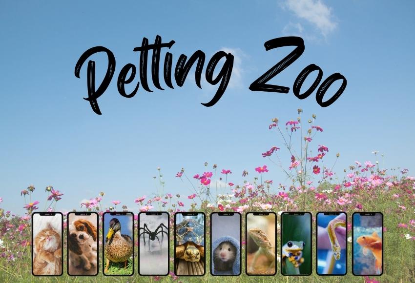 Petting Zoo